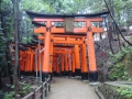 Kyoto : Inari